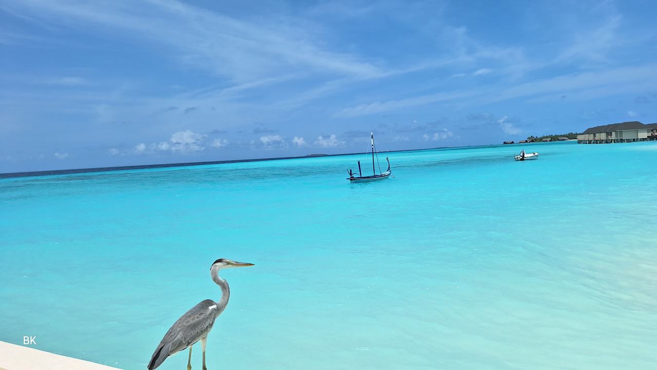 Sonstiges Summer Island Maldives