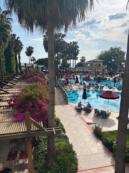 Ausblick Trendy Palm Beach (Adults Only, 16+)