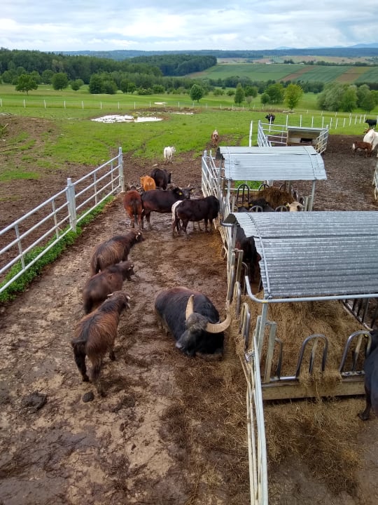 Gartenanlage Reiters Finest Family Hotel