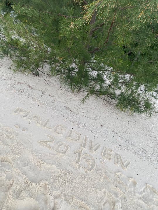 Strand Summer Island Maldives