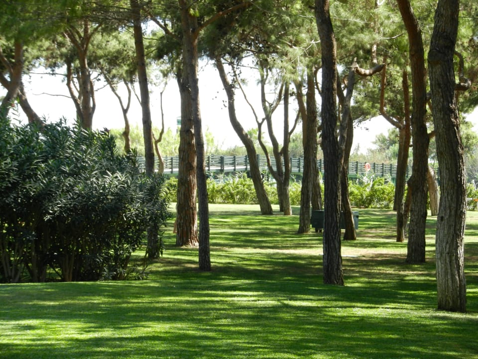 Xanadu  Xanadu Resort Hotel