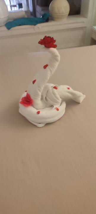 Zimmer Makadi Spa - Adults only