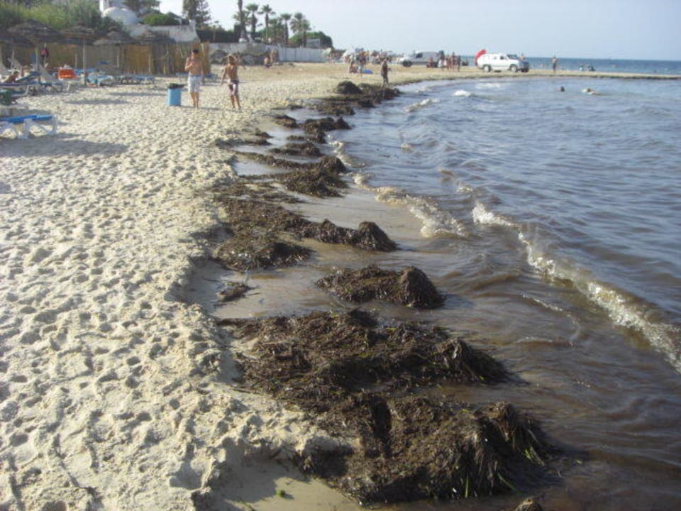 Badestrand Marhaba Royal Salem