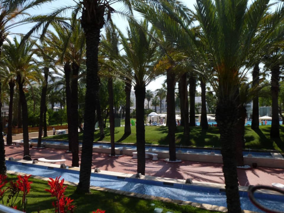 Blick zum Pool Monachus Family Resort Sorgun