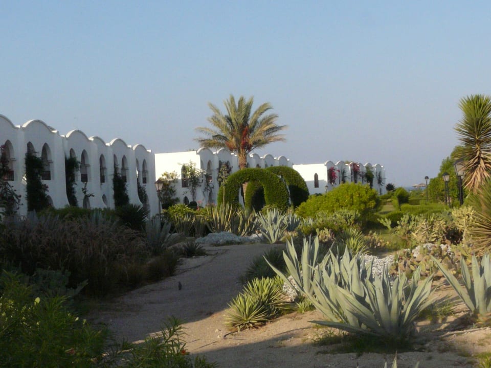 Außenansicht Hotel Gorgonia Beach Resort