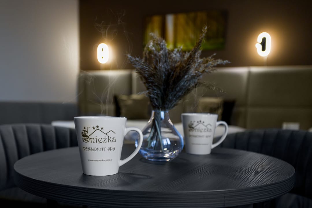 Gastro Pensjonat Śnieżka SPA