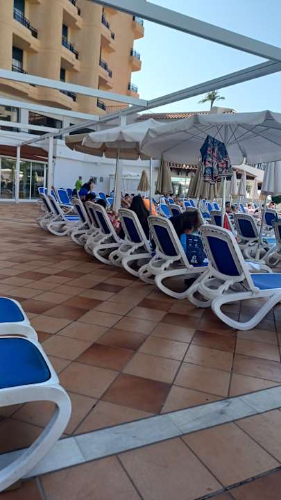 Pool Globales Gardenia