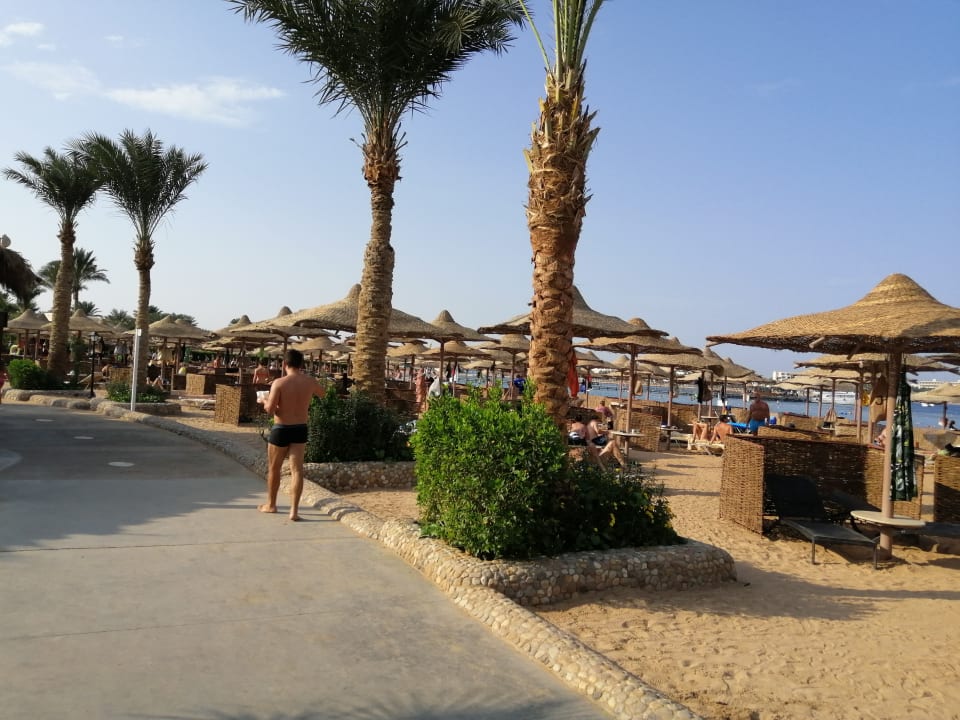 Strand JAZ Neo Saraya Palms