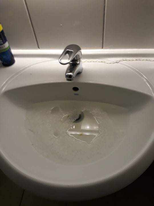 Zimmer AQI Pegasos World