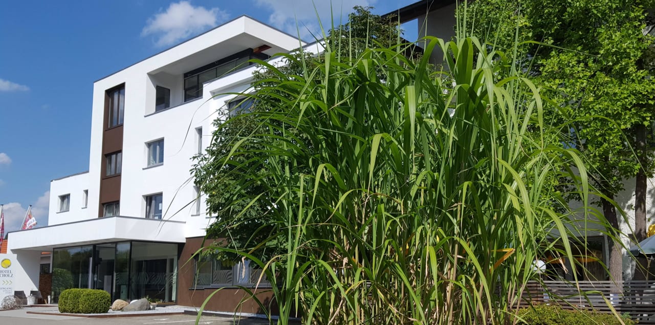 Hotel Scholz Hotel Scholz