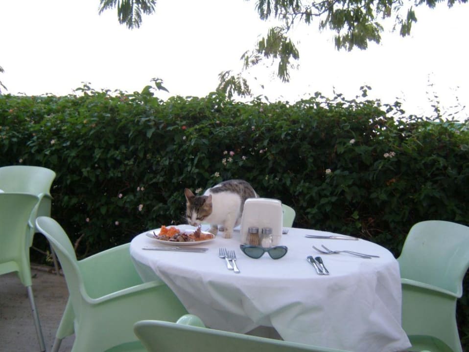 Hotel Ulusoy Kemer Holiday Village Ulusoy Kemer Holiday Club