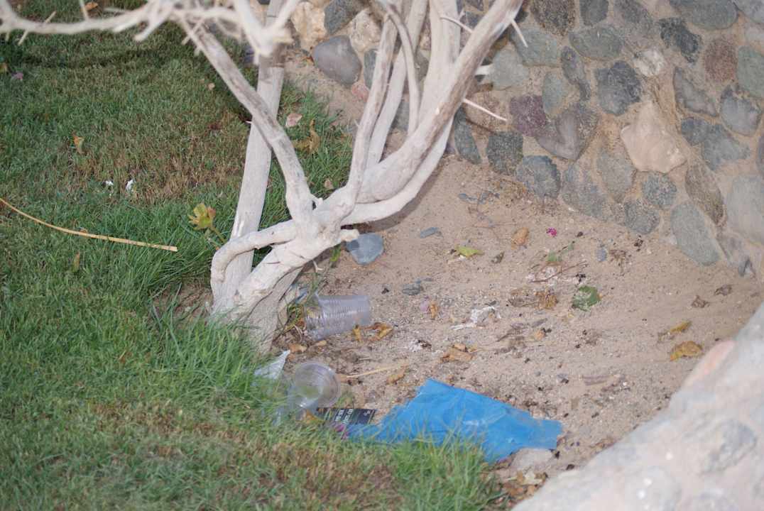 Dreck ohne Ende Three Corners Sea Beach Resort