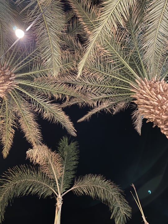 Gartenanlage Hotel Spa Club Dead Sea