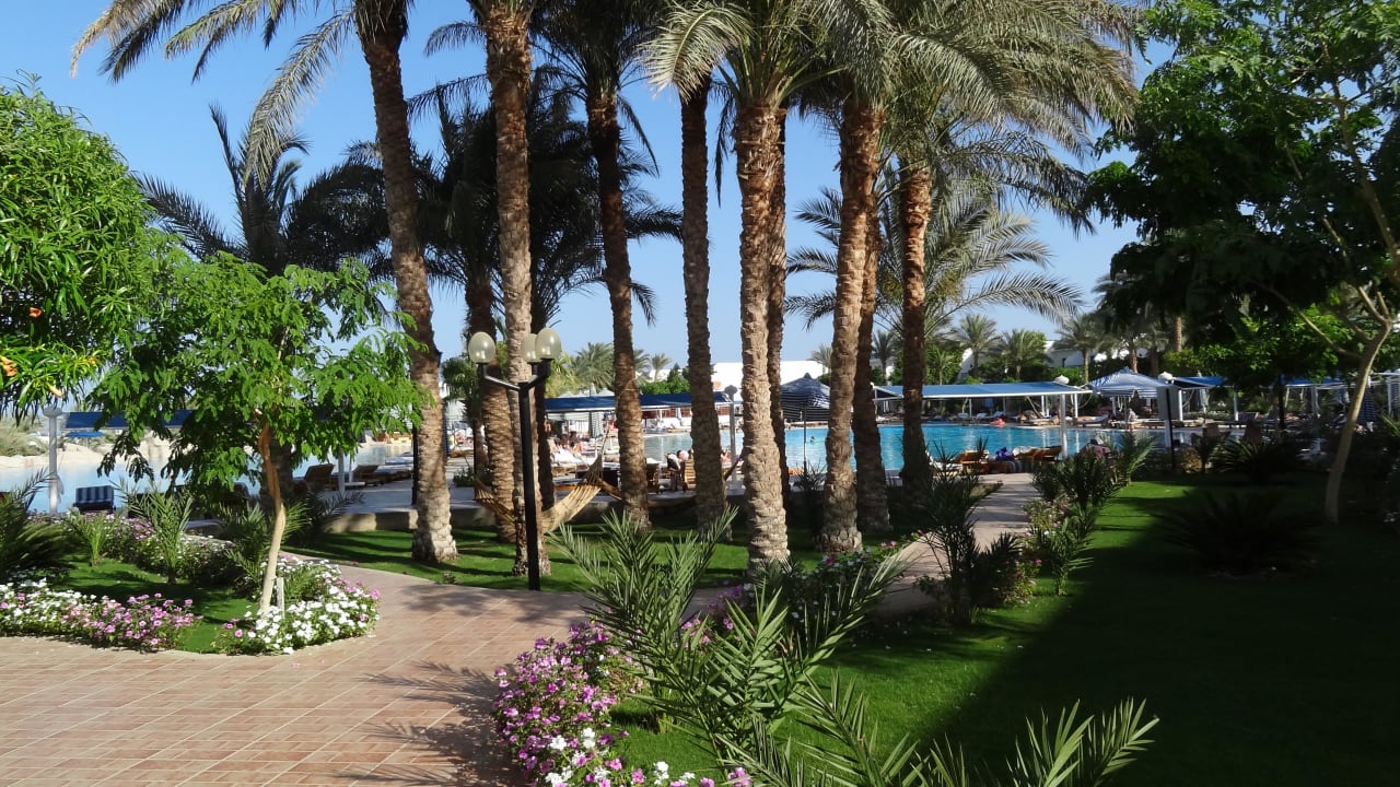 Palmengarten for dem großen Pool Sultan Gardens Resort