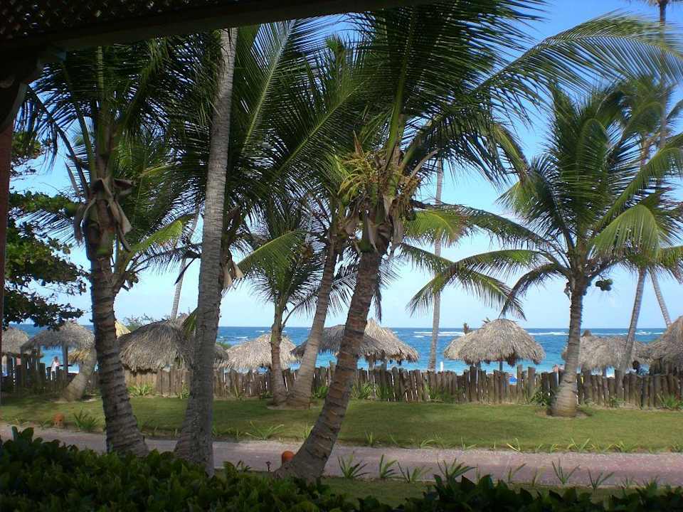 Blick aus unserem Zimmer zum Strand VIK Hotel Arena Blanca