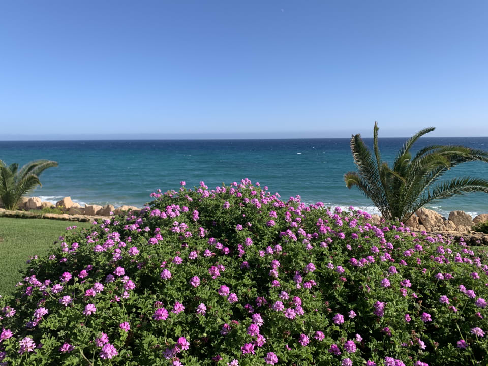 Gartenanlage R2 Pajara Beach