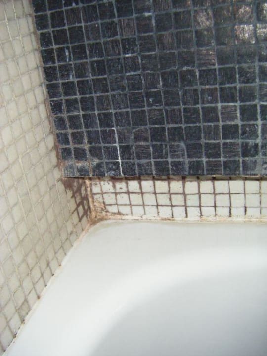 Schimmel im gesamten Badezimmer Hotel Marais Home