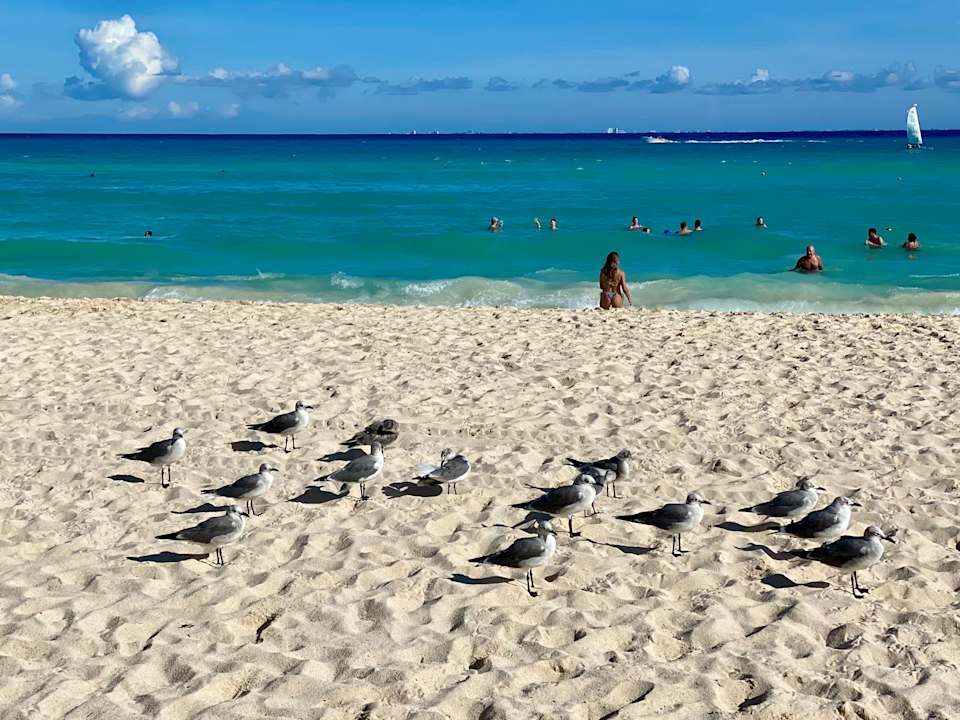 Strand Hotel Riu Palace Riviera Maya