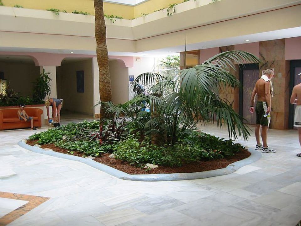 Eingangsbereich Zafiro Tropic