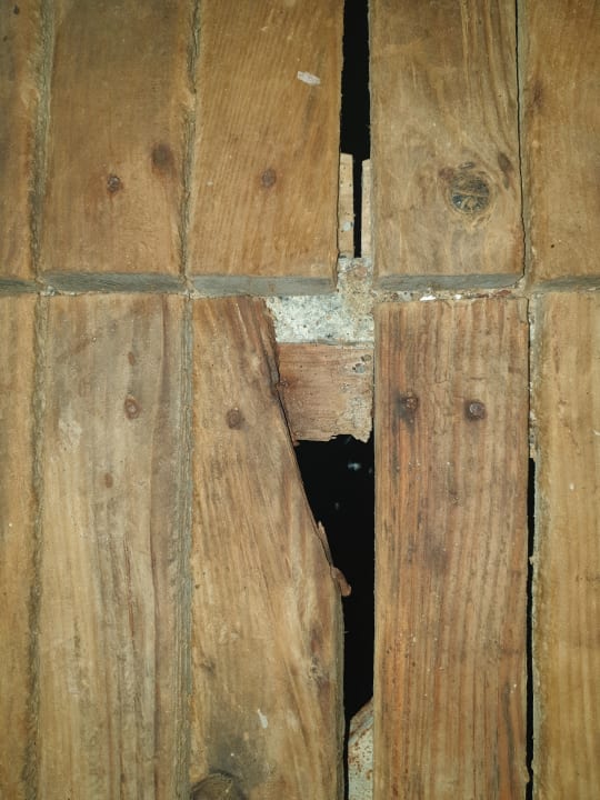 Strand Flora Garden Beach Hotel ( 16+ Adults Only )