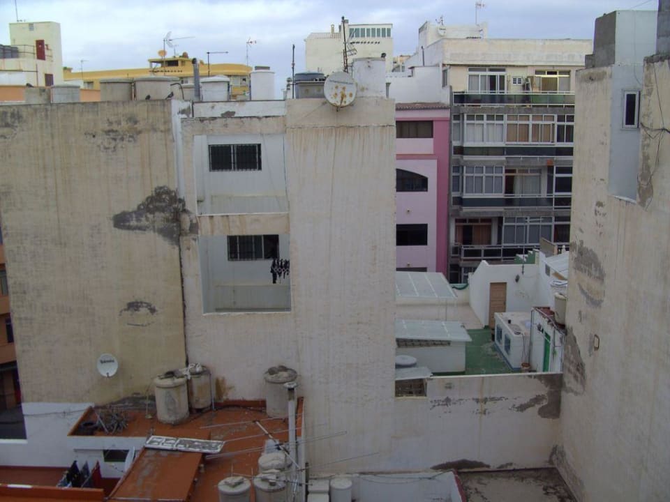 Der Ausblick Bull Astoria