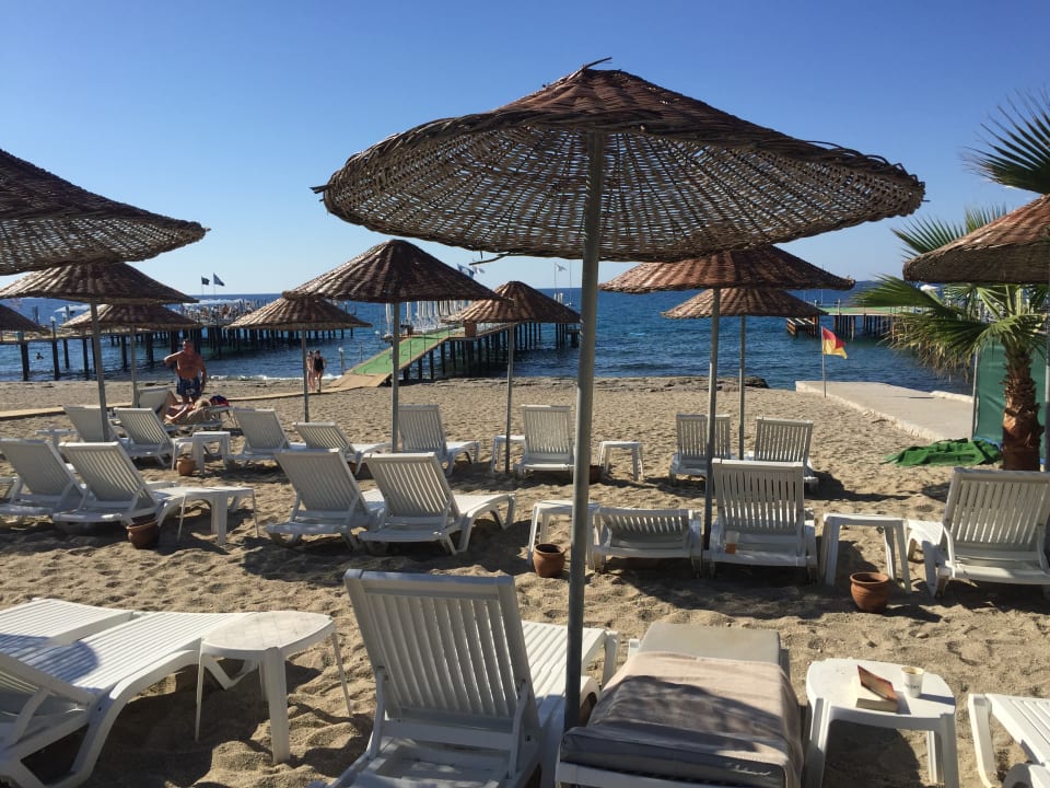 Strand Dizalya Palm Garden