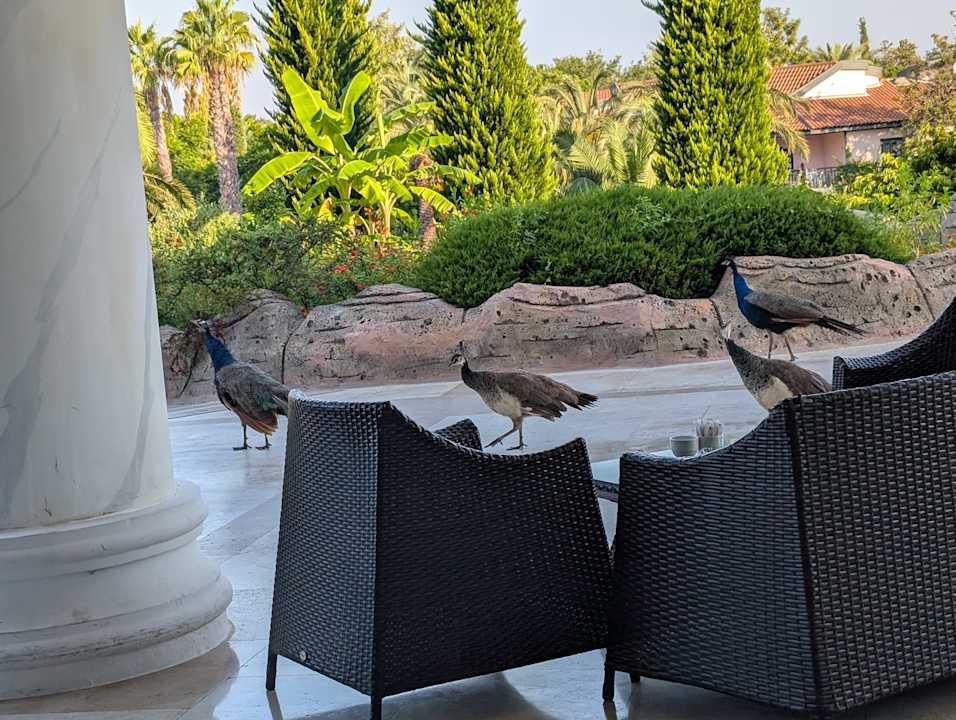 Außenansicht Starlight Resort Hotel