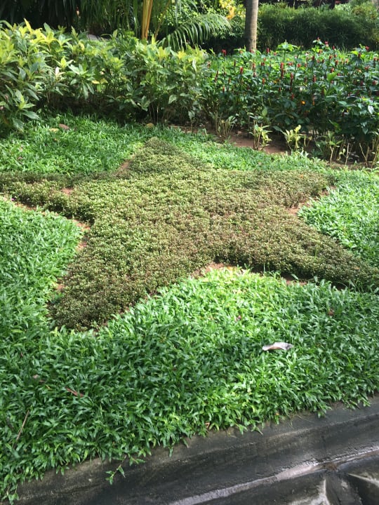 Garten The Fair House Beach Resort