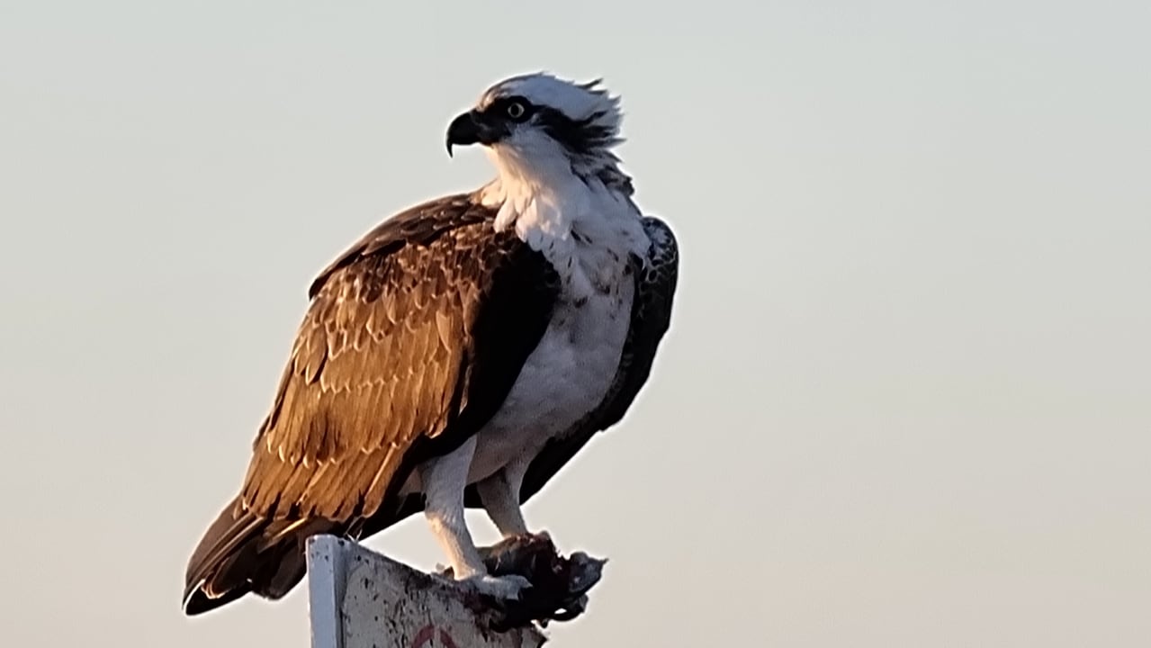 Sonstiges Makadi Spa - Adults only