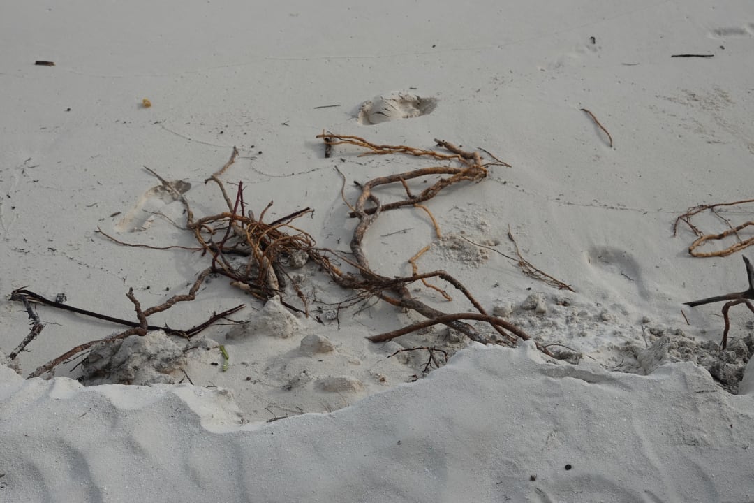 Strand Angaga Island Resort