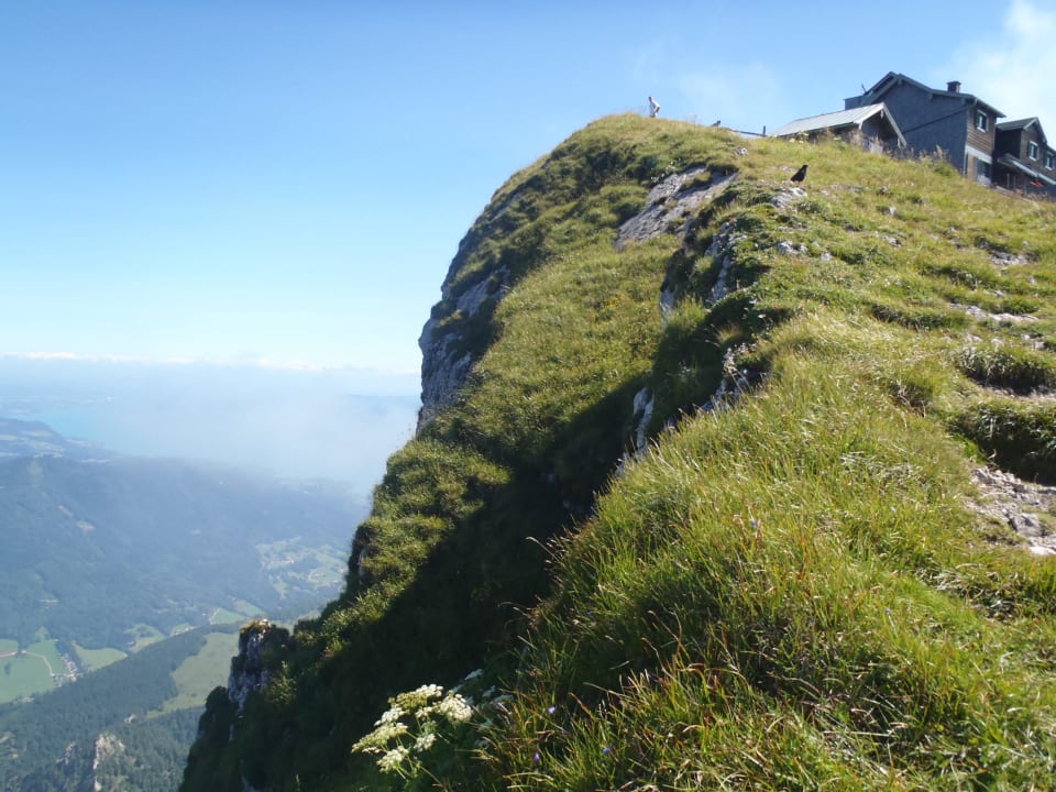 "Bergspitze" Hotel Schafbergspitze (St. Gilgen) • HolidayCheck