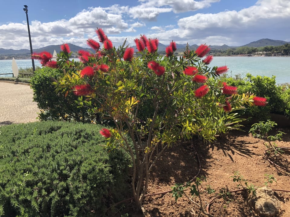 Ausblick Hipotels Eurotel Punta Rotja Golf & Spa