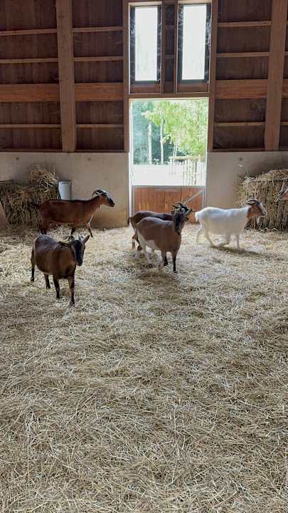 Sport & Freizeit Villages Nature Paris