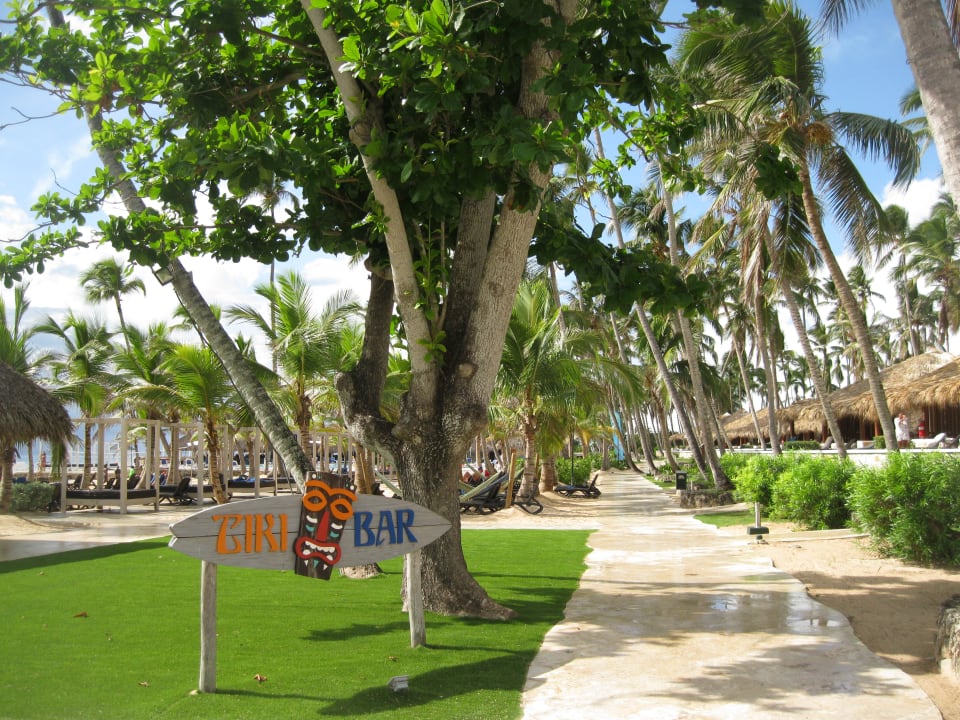 Gartenanlage Hotel Viva Dominicus Beach by Wyndham - All Inclusive Resort