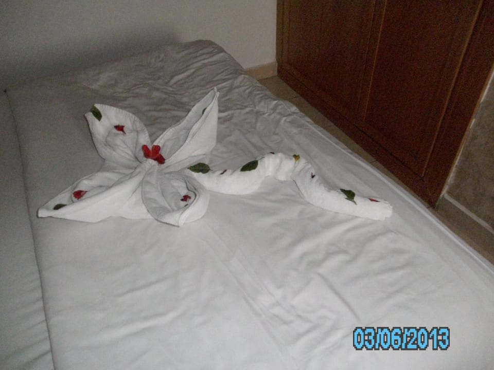 Handtuch-Blume Ghazala Beach