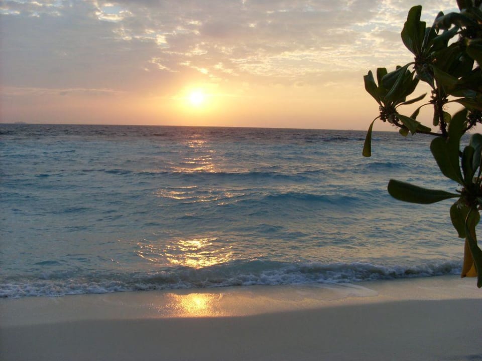 Sonnenaufgang am Meer NAKAI Maayafushi Resort