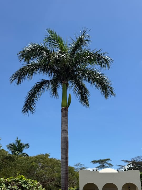 Ausblick Hotel Riu Palace Zanzibar