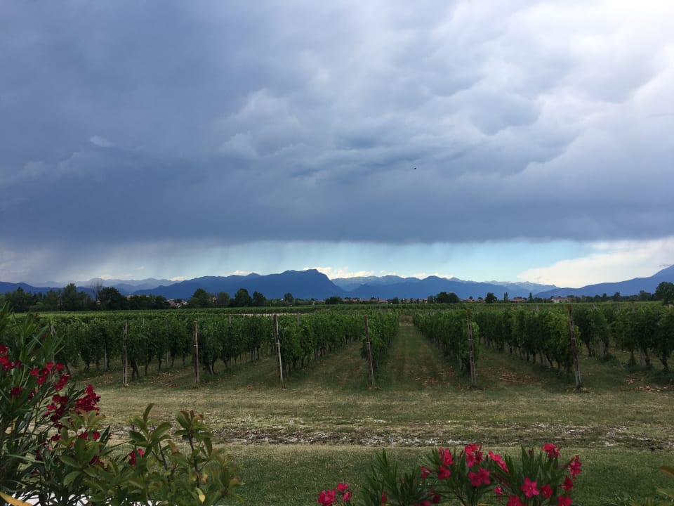 Ausblick Tenuta La Borghetta