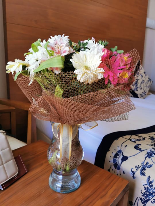 Zimmer Trendy Side Beach Hotel - Adults only