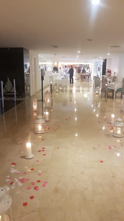 Gastro Sentido Fido Punta del Mar – Adults only