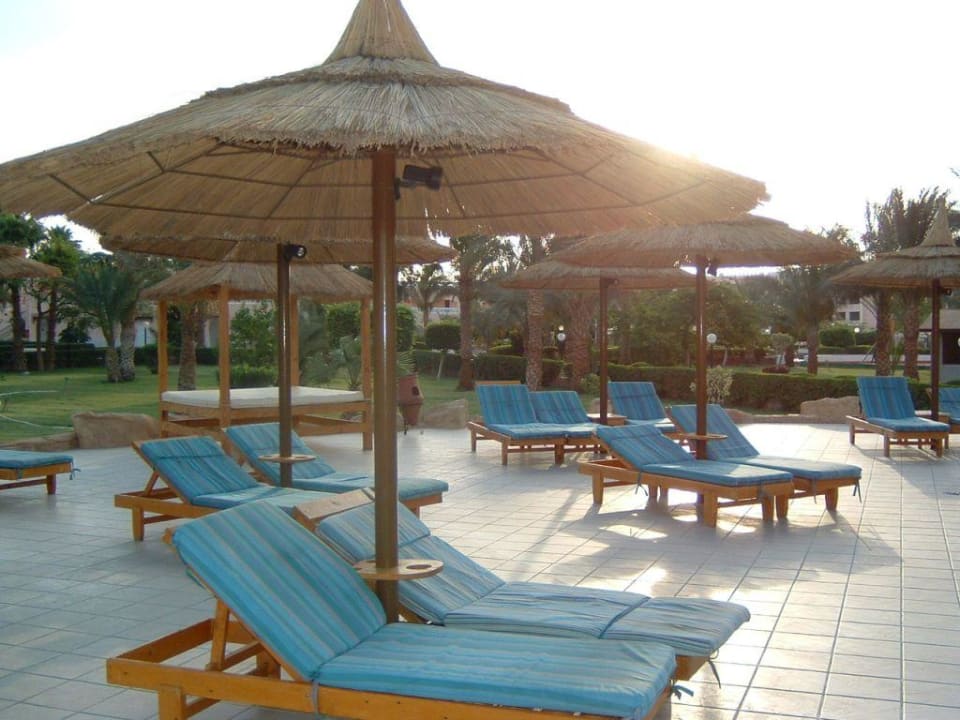 Liegen am neuem Pool Beach Albatros Resort