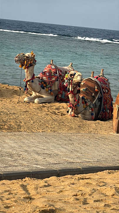 Strand Lazuli Hotel Marsa Alam