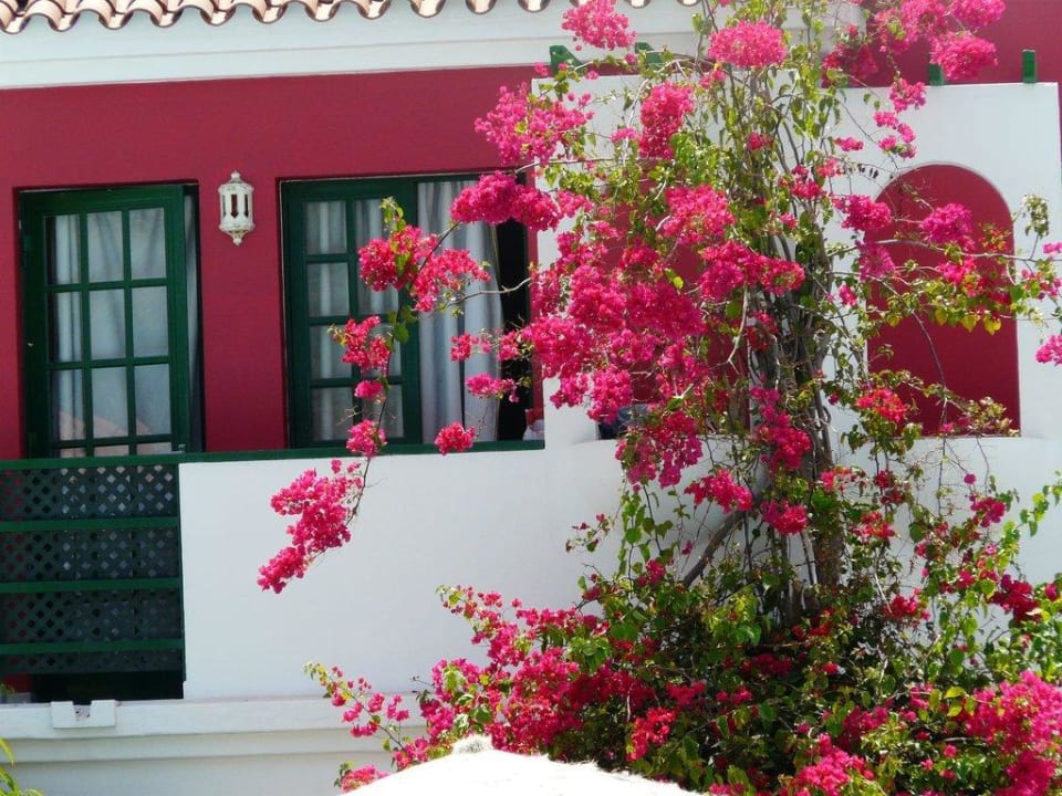 Einer der Bungalows Bungalows Vistaflor