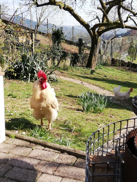 Außenansicht Huberhof