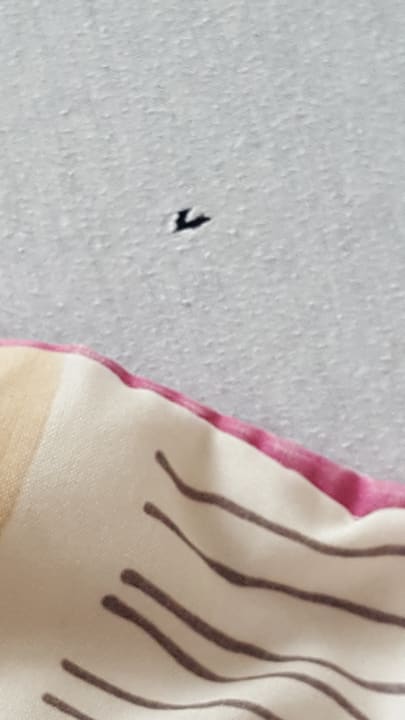 Zimmer Hotel Zorgvakantiecentrum Zeelinde