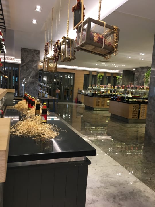 Gastro Seashell Vega