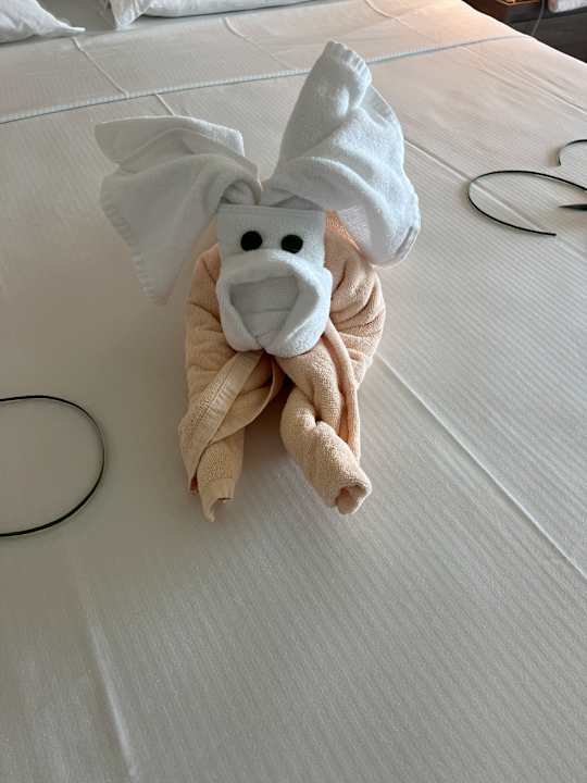 Zimmer Hotel Riu Palace Maldivas