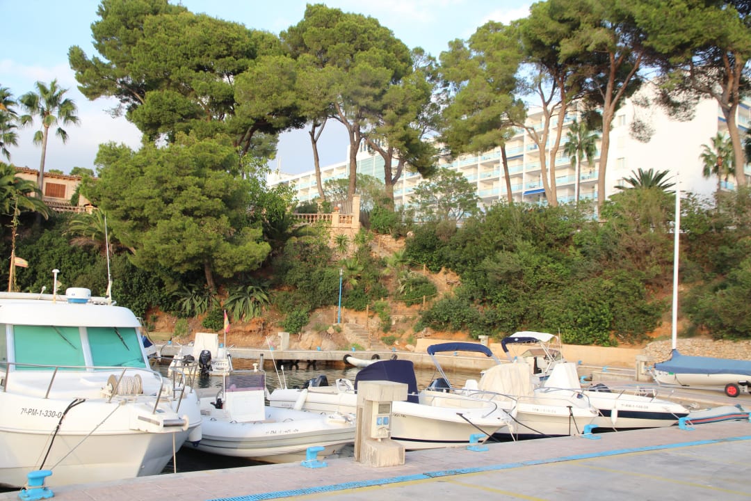 Kleiner Hafen und Hipotel Hipotels Eurotel Punta Rotja Golf & Spa