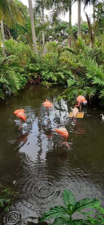 Gartenanlage Vista Sol Punta Cana