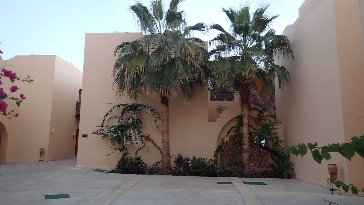 Palmen an den Gebäuden Steigenberger Coraya Beach - Adults only